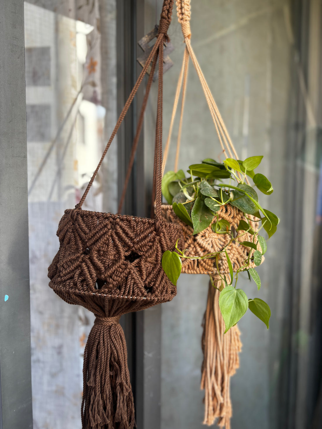 Macrame Plant Hanger