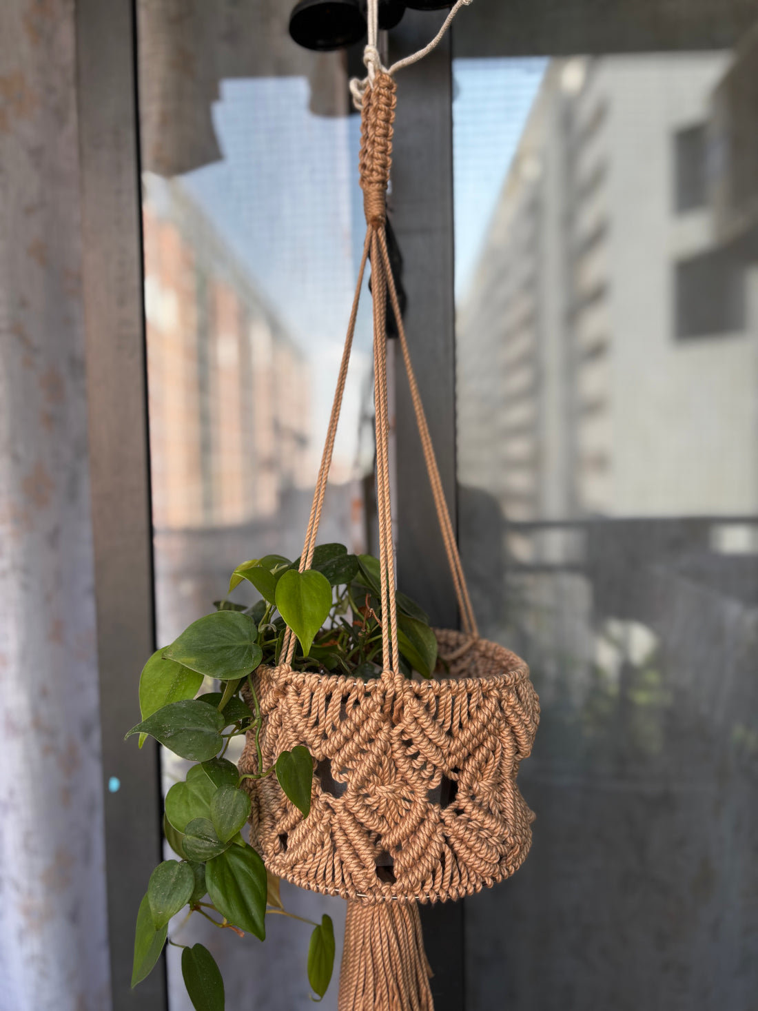 Macrame Plant Hanger